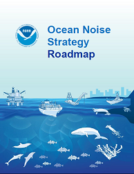 Ocean Noise Strategy Cover