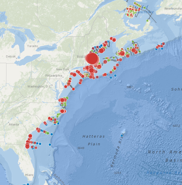 Passive Acoustic Cetacean Map